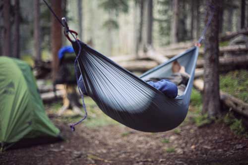 Hammock